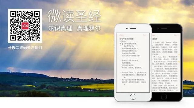 社会 第4页